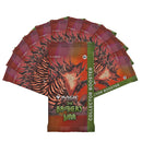Magic: The Gathering The Brothers War Collector Booster Box | 12 Packs (180 Magic Cards)