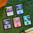 Magic: The Gathering Secrets of Strixhaven - Draft Night (1 Collector Booster, 12 Play Boosters, 90 Lands, 10 Token Cards)